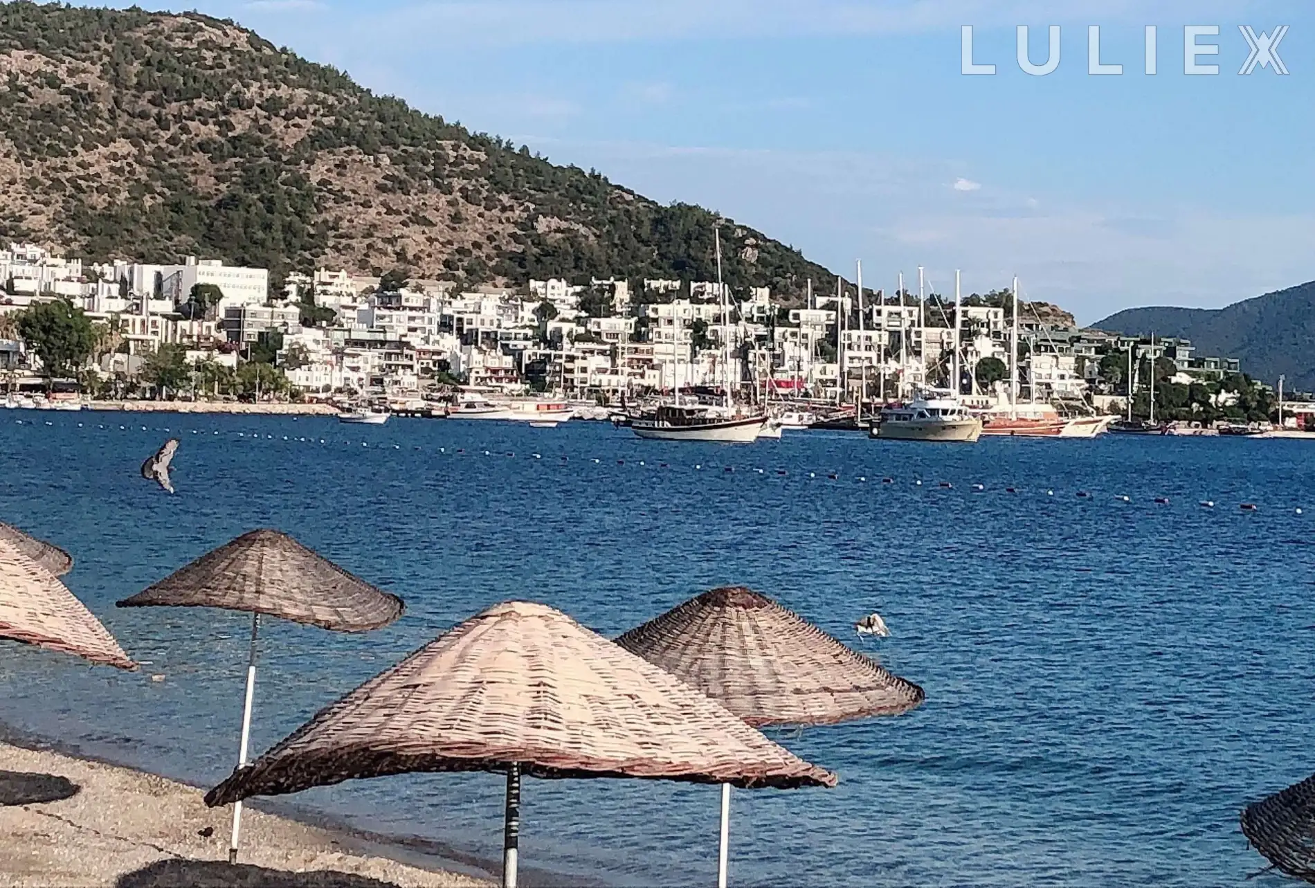 SEAVIEW LUX APARTMENT