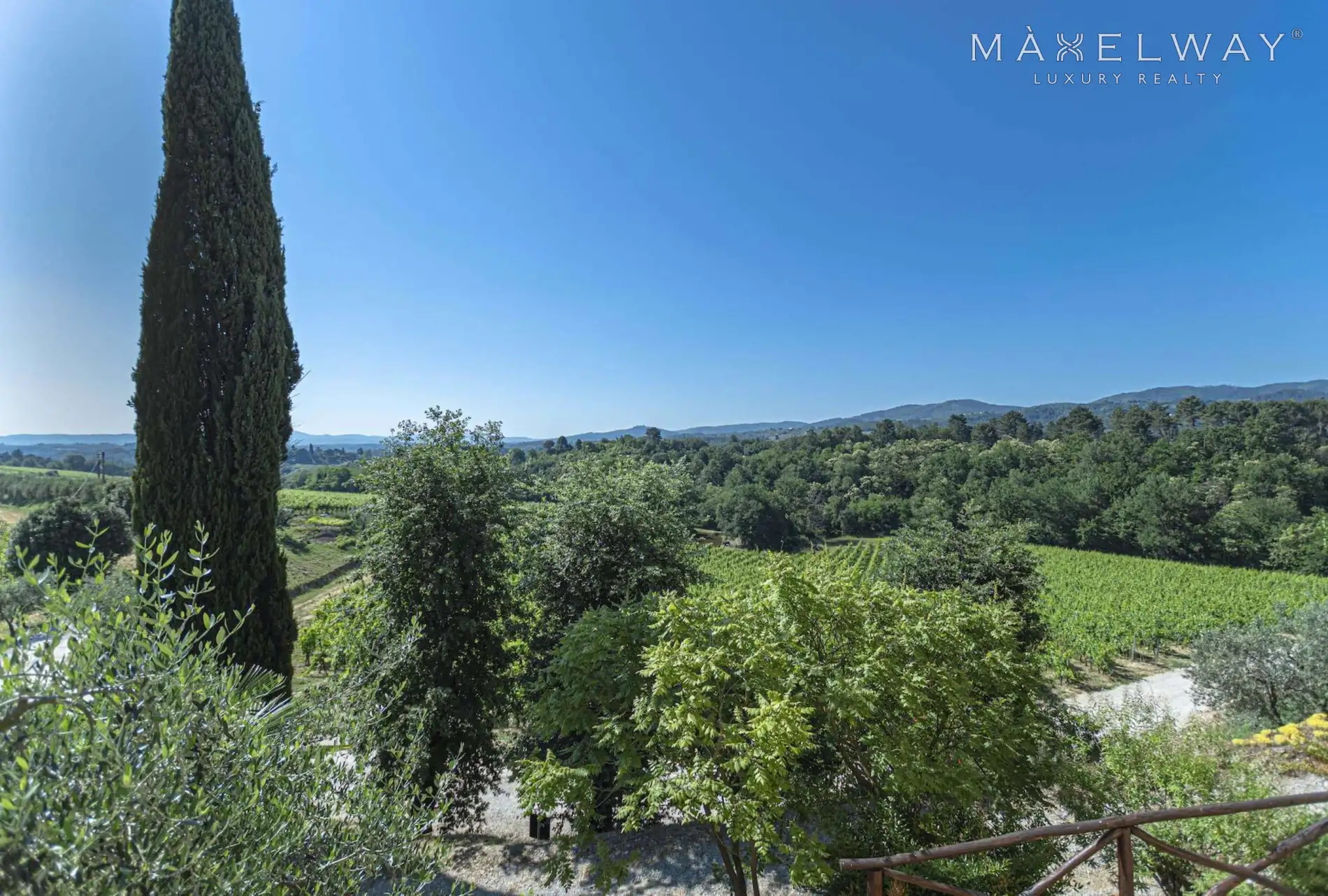 FANTASTIC WINERY IN TUSCANY