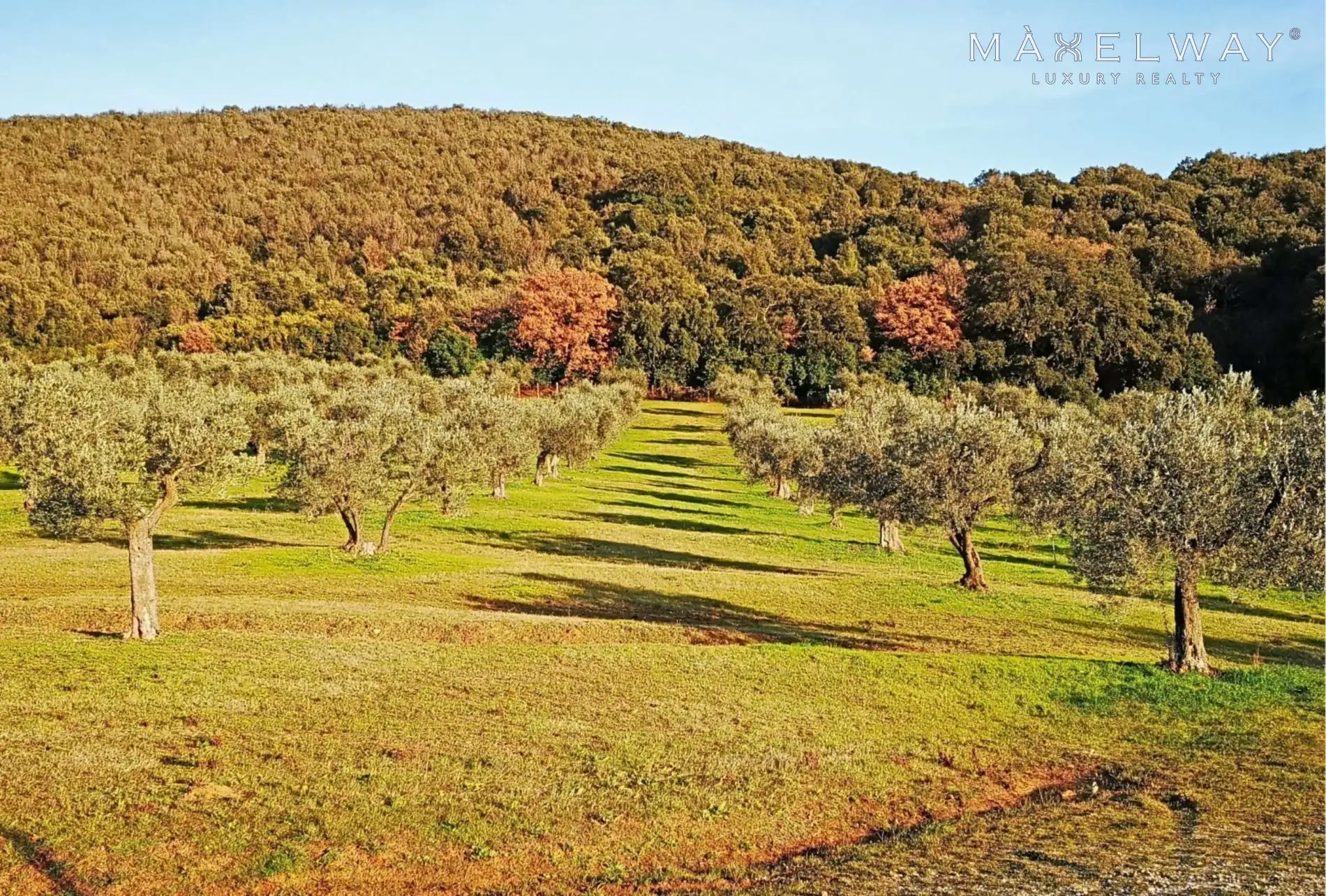 WINERY ESTATE