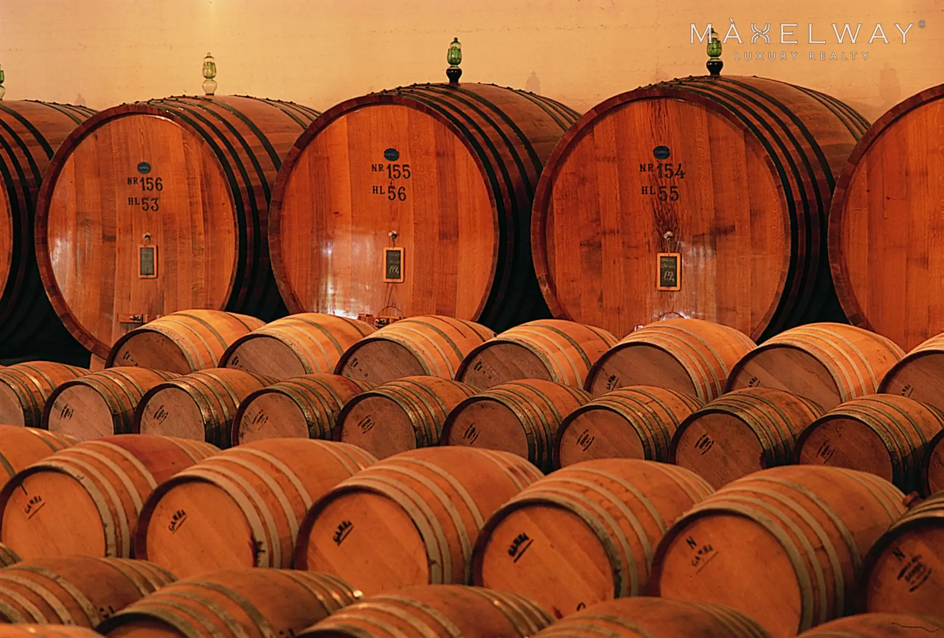WINE FARM IN TUSCANY