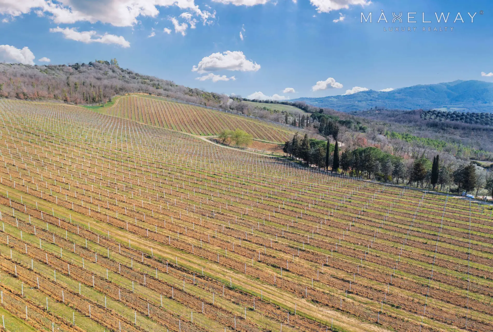 WINERY ESTATE