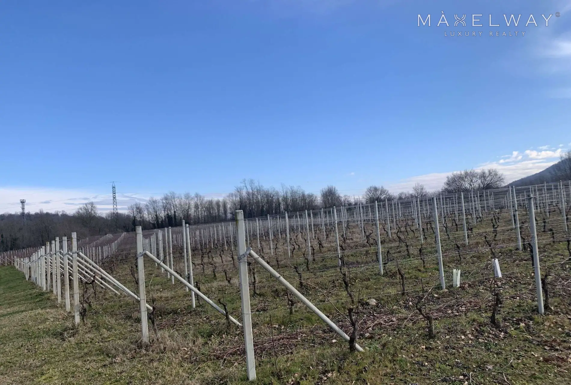 WINERY IN PIEDMONT