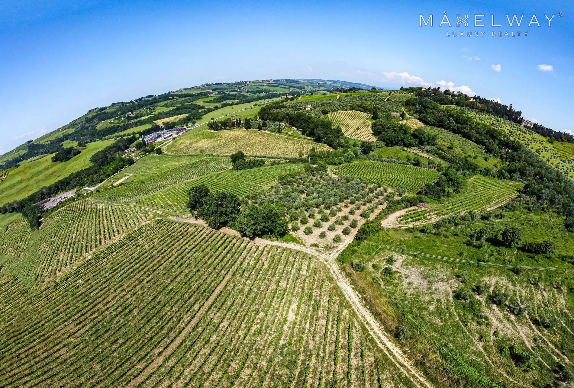 CHIANTI WINERY