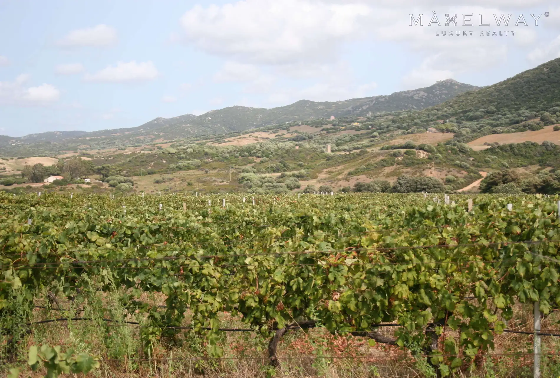 ORGANIC & SUSTAINABLE WINERY