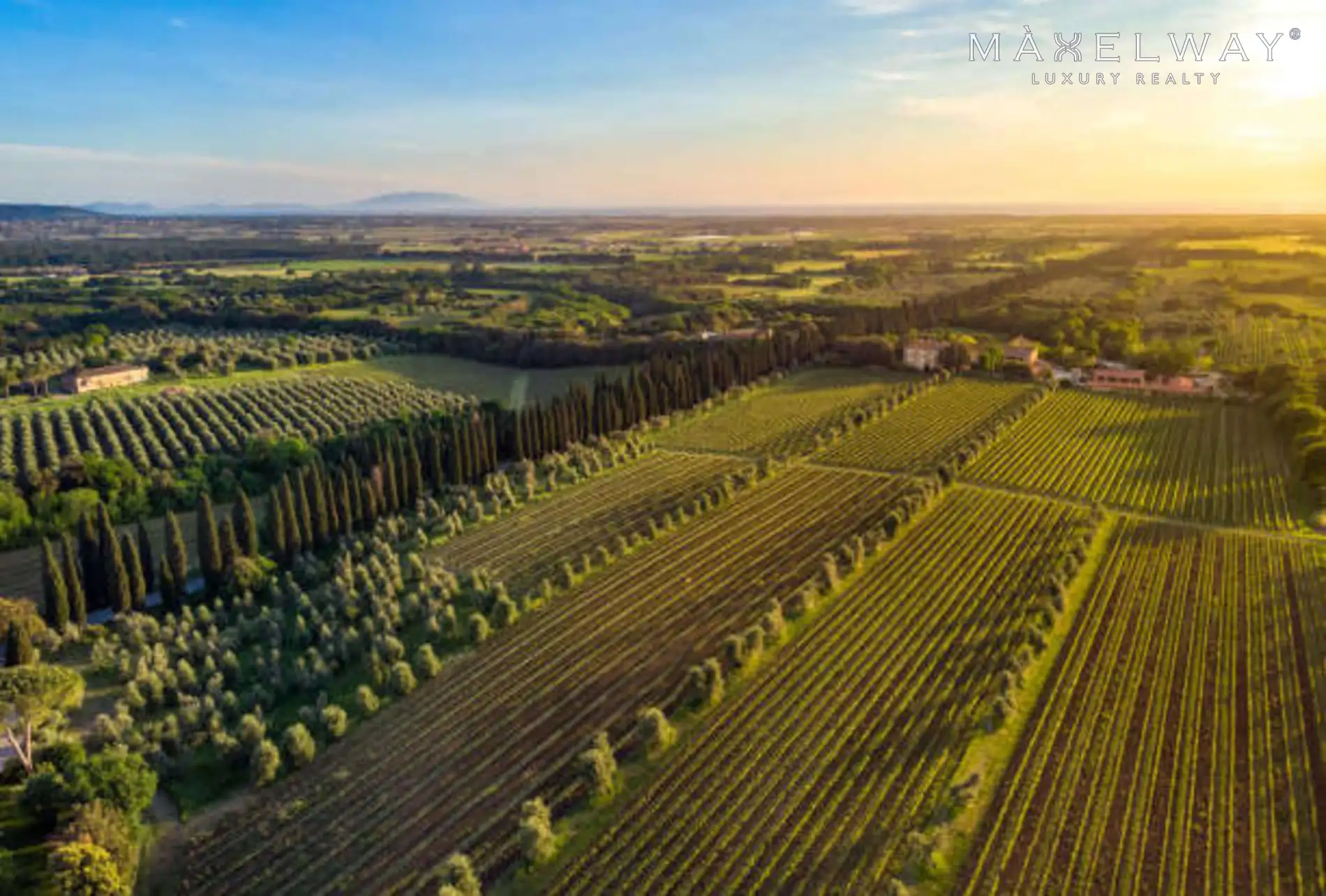 WINE,OIL, TRUFFLE & HUNTING ESTATE