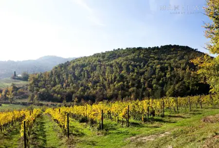 WINERY FARM