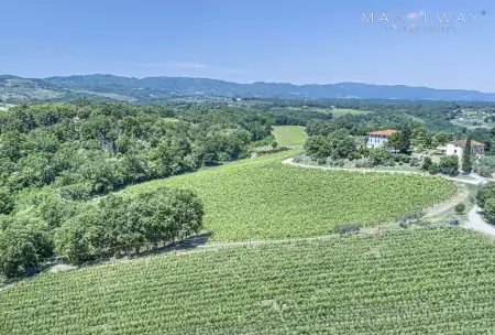 FANTASTIC WINERY IN TUSCANY