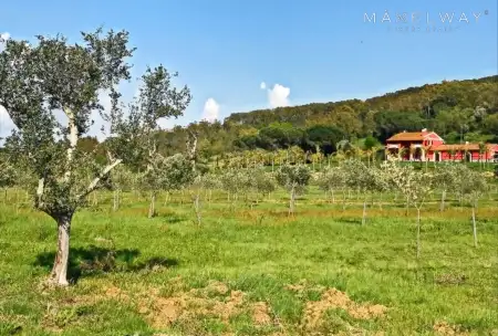 ESTATE WITH LAND IN MAREMMA