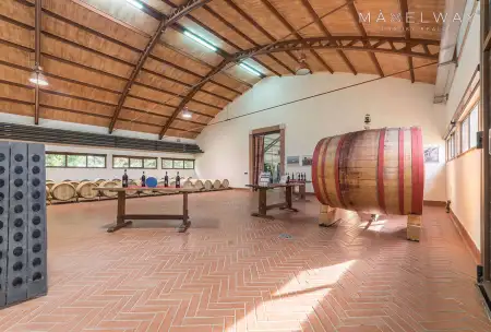 WINERY IN ROME