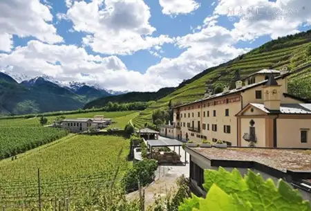 WINE FARM IN TUSCANY