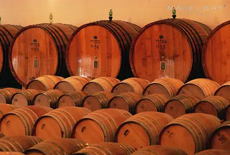 WINE FARM IN TUSCANY