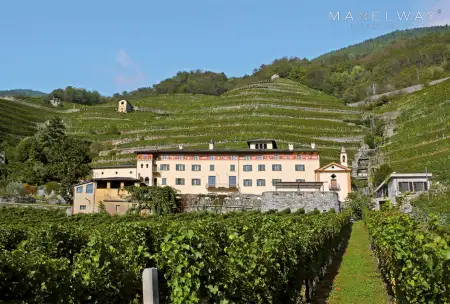 WINE FARM IN TUSCANY