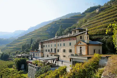 WINE FARM IN TUSCANY