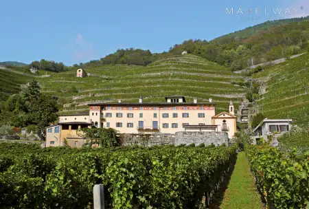 WINE FARM IN TUSCANY
