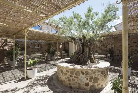 FANTASTIC TUSCANY ESTATE