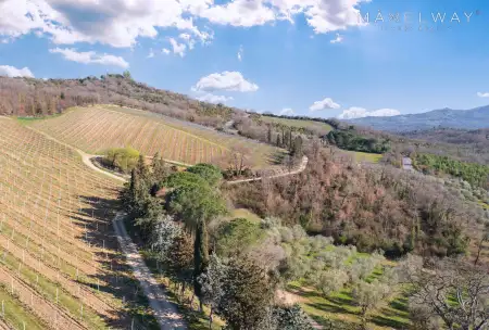 WINERY ESTATE