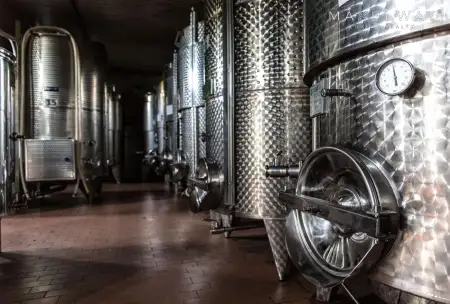 WINERY IN PIEDMONT