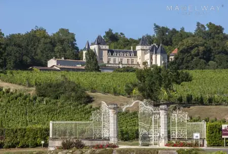 WINE CHATEAU