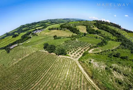 CHIANTI WINERY