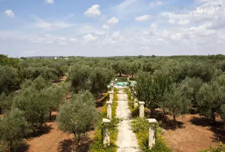 CHARMING MASSERIA