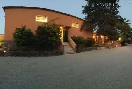 OLIVE OIL & WINE FARM
