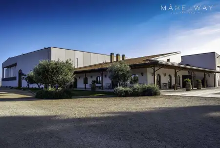 APULIAN ORGANIC WINERY