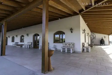 APULIAN ORGANIC WINERY